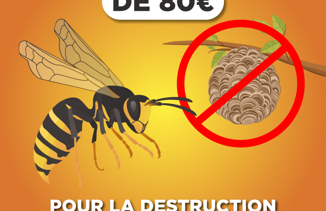 Aide financière du Grand Reims pour la destruction des nids de frelons et de guêpes