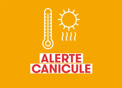 Canicule, fortes chaleurs : adoptez les bons réflexes