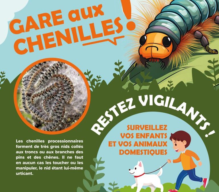 Chenilles processionnaires